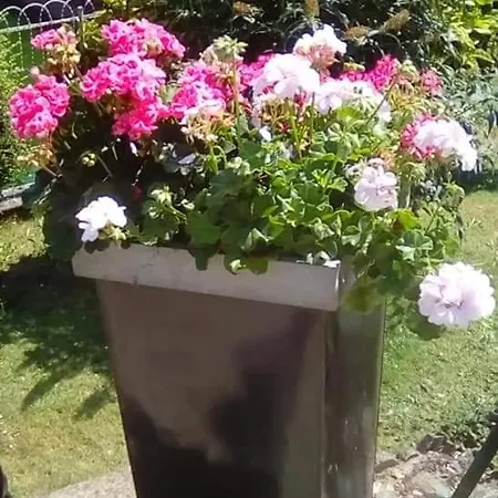 La Reposee Apartamento *