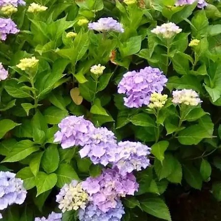 La Reposee Apartamento