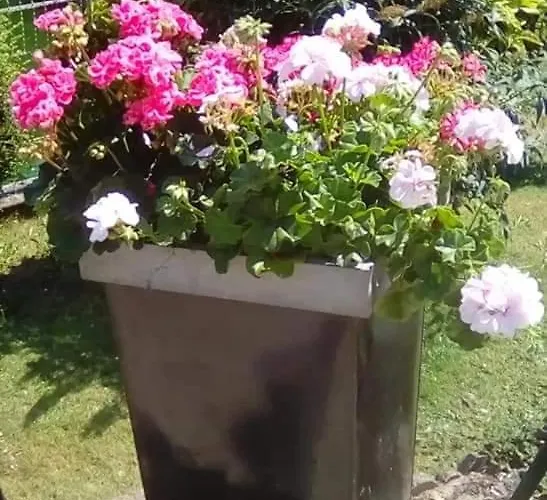 La Reposee Apartman *