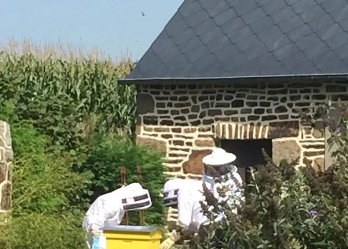 Apartman La Reposee *